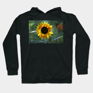 Light and Shadow Hoodie